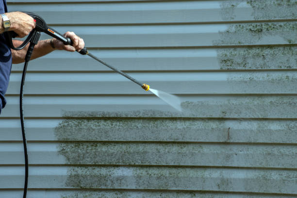 Best Building Exterior Washing  in Burnsville, MN